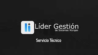 Technical Support - Billing Software for Your Business - Líder Gestión screenshot 2