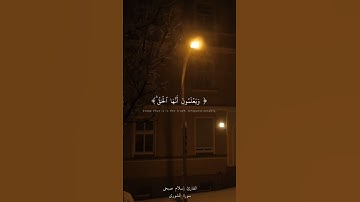 [الشورى : 17-19] القارئ:إسلام صبحي