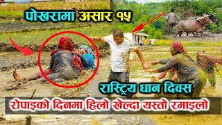 पोखरामा हिलो छेप्दै दिदि बहिनिको रमाइलो हेर्नुस । Asar 15 | Dahi Chiura | The best Dhan Ropai Nepal