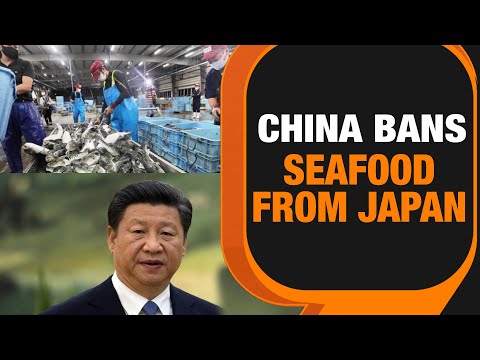China Bans Japanese Seafood After Fukushima Wastewater Release | News9 -  YouTube