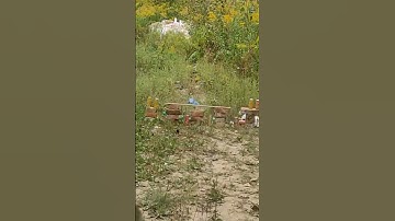 Shooting Targets to the Rhythm of Music