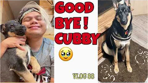 Vlog 88: Goodbye! Cubby  | Yobmik Me Smile Vlogs