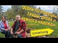 Дров много не бывает. Инжир с личинками. Борщ без мяса.