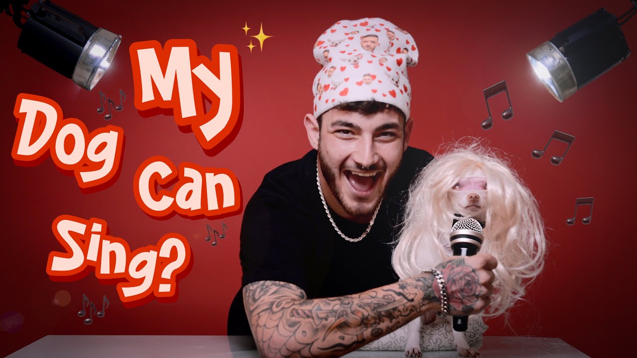 My Dog Started Singing For 1 000 000 Subscribers YouTube my-dog-started-singing-for-1-000-000-subscribers-youtube