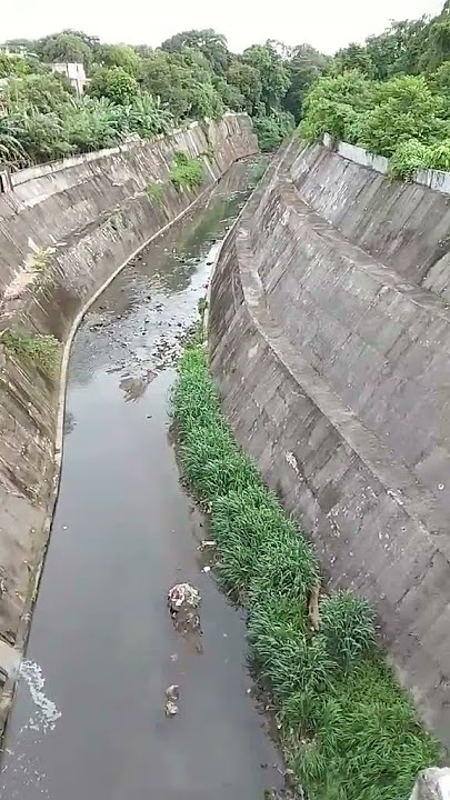 234b2bfa c69b 4725 8a21 a0c8d37cc3ef