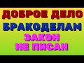 Доброе дело. БРАКОДЕЛАМ закон НЕ ПИСАН.  | Правдивая Ольга. Мое мнение.