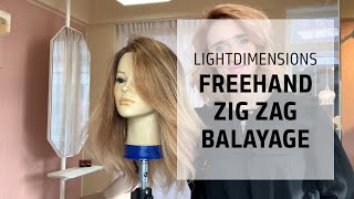 Freehand Zig Zag Balayage Technique | LightDimensions | Goldwell Education Plus screenshot 3