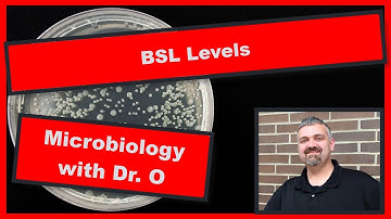 BSL Biosafety Levels:  Microbiology Lab