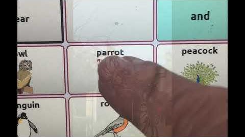 Come Stroll With Me: Animal AAC & Sound video