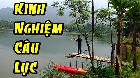 Chia Sẻ Kinh Nghiệm Câu Lục Cá Trắm Cỏ Và Cá Chép  Hồ Dịch Vụ - Cần Thủ TV