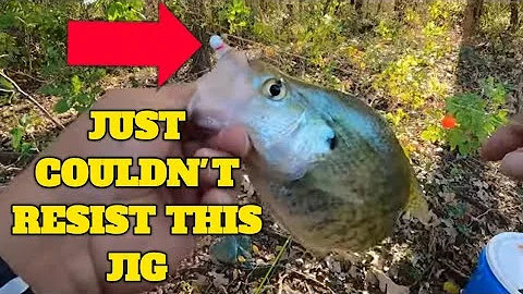 CRAPPIE CAN'T RESIST THESE HAIR JIG BAITS & CORK SETUP