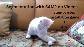 Introduction to SAM2: Installation Guide and Performing Segmentation on Video