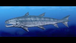 Onychodus