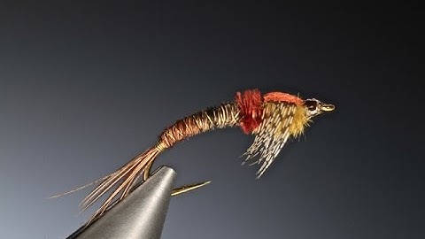 Tying a Hatching mayfly nymph with Barry Ord Clarke