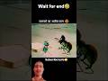 जानवरों के अजीब काम 🤣😁 #shortvideo #likesharesubscribe #comedyshorts #viralvideo