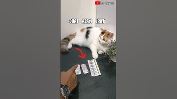 OBAT ASAM URAT PALING AMPUH dan PEGEL LINU#shorts