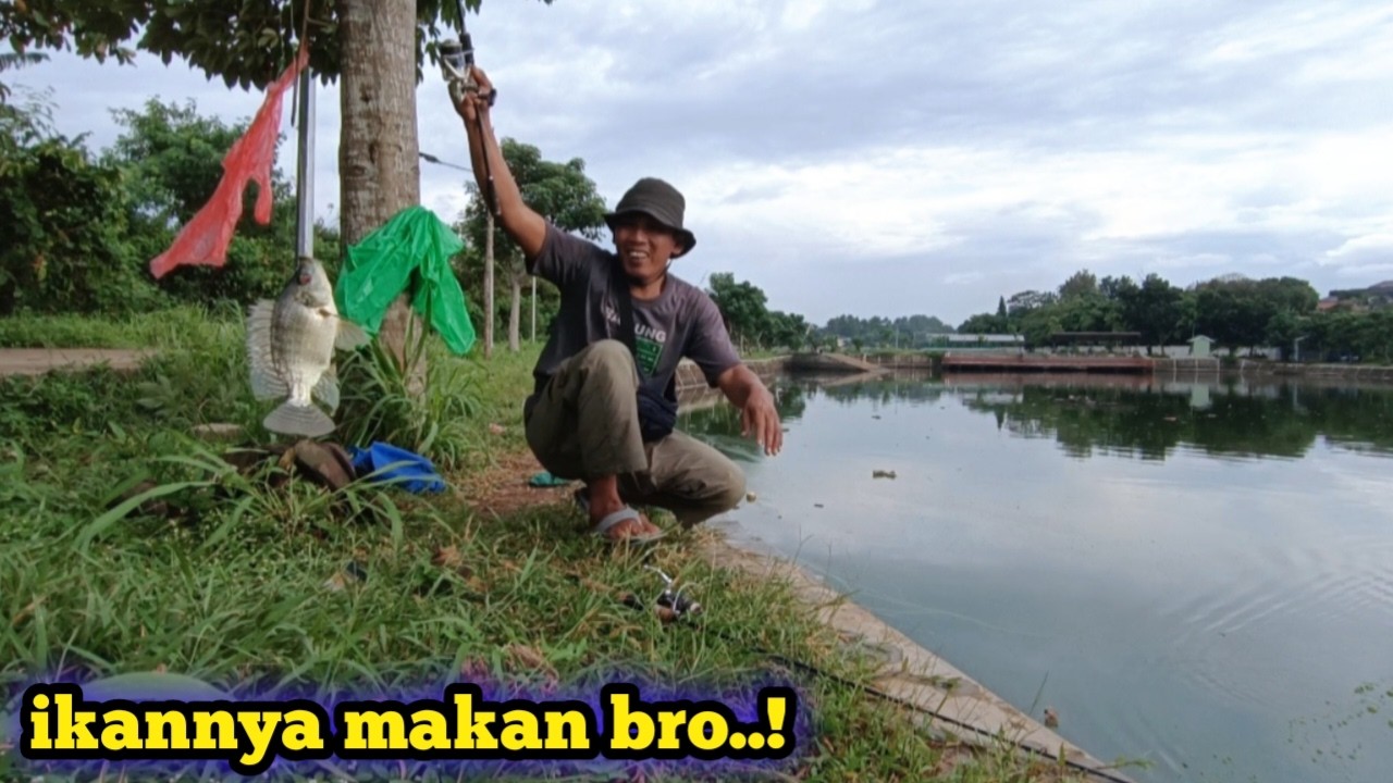 Lha iya, ikannya makan