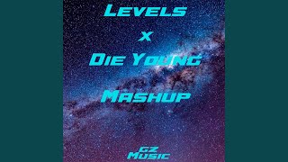 Levels X Die Young (Mashup)
