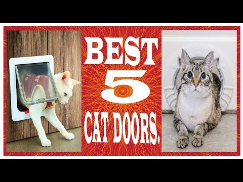 best-5-cat-doors-||-cat-door-||-best-5-cat-doors-2019