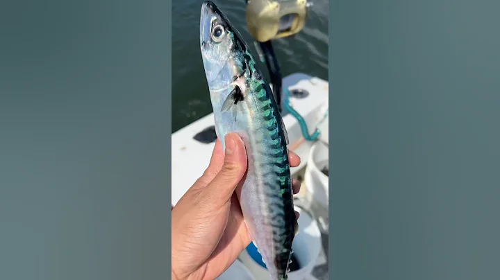 Why do Fishermen Hate Eating This?