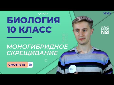 Урок 23. Моногибридное