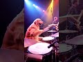 #jurassicworld #dog #funny #ai #