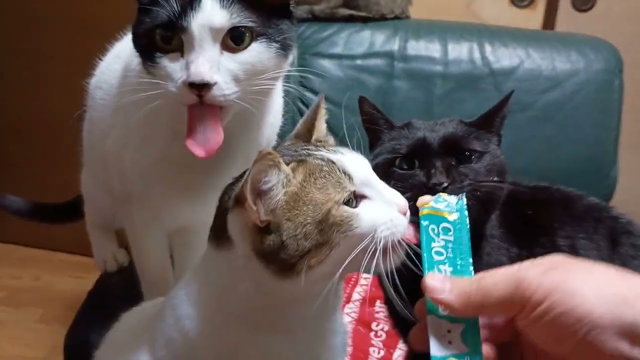 🎉2026 happy valentine dey🎊