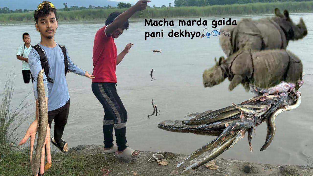 Macha mardai gaida ko view 🎣 🦏|| fishing eel fish and rhino saw 