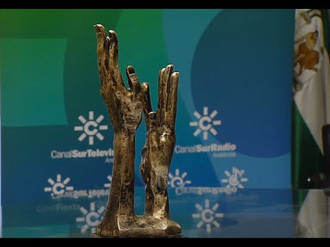 SOLIDARIOS DONACION PREMIO A LA FUNDACIÓN ALIADOS POR LA INTEGRACIÓN