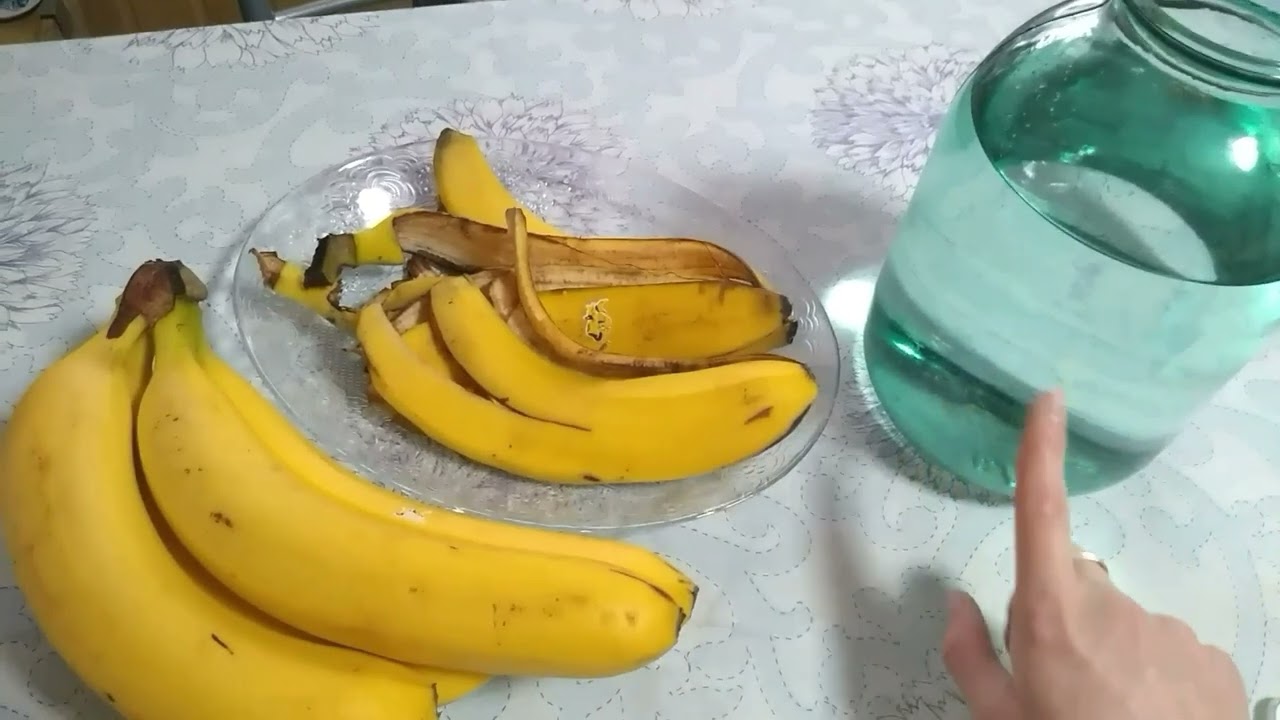 Как приготовить настой из банановой кожуры для полива рассады?