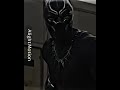 Black panther   dc marvel comics shorts