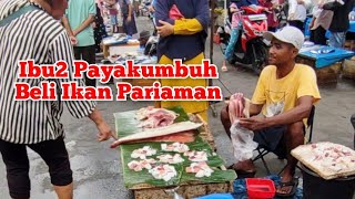 Pedagang Heboh !!! Yang Lewat Melirik Ikan di Meja | Ada Sotong \u0026 Samedang | Pasar Sore2