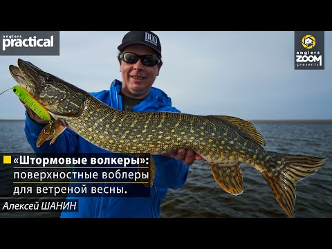 Видео: «Штормовые волкеры»: поверхностные воблеры для ветреной весны. Алексей Шанин. Anglers Practical