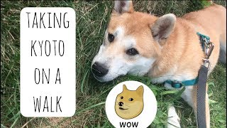 Taking Kyoto On A Walk & Channel Update