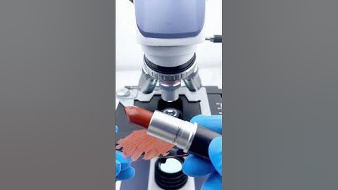 Red Lipstick 💄💋 under the microscope Zooming Test 😨 #microscope #microscopetest