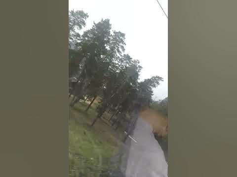 ЛАСТОЧКА электричка. Тольятти - Самара - YouTube