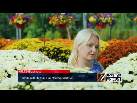 #BMG4Business  - “ვცდილობთ ყვავილები მომხმარებელს იმავე ფასში შევთავაზოთ“