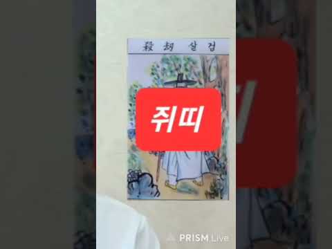 <strong>쥐띠</strong> 오늘의운세 2024년10월9일 수요일 띠별운세 총운 #운세 #오늘의운세 #2024년운세 #띠별운세