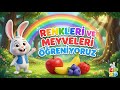 Meyveler ve Renkler - Zıp Zıp Çocuk Kanalı 🍇✨