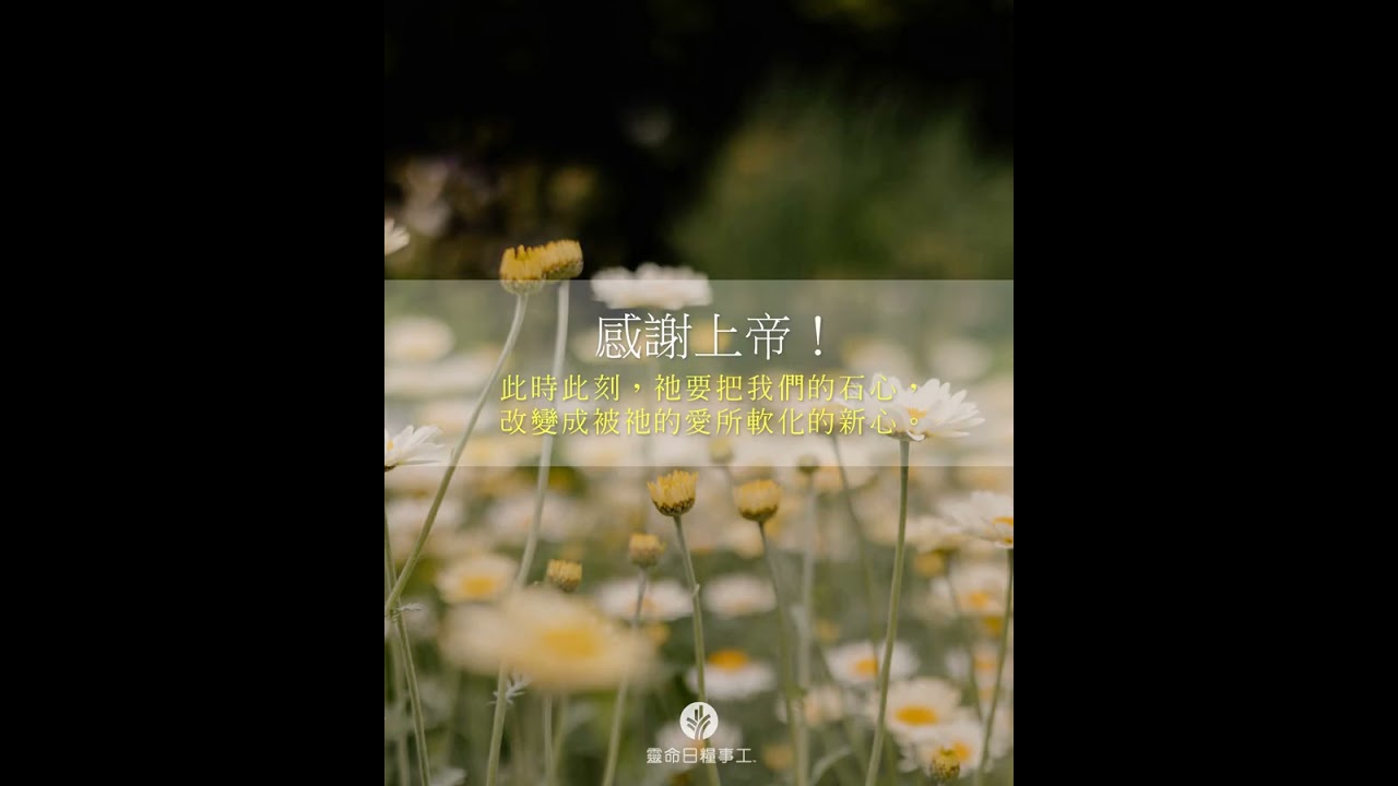  - HeartVod