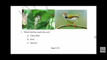 Class 4 EVS Final Exam Question paper (2021 - 2022) | Term 2 Environmental Studies