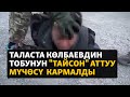 Жаңылыктар | 6.10.2023 | Таласта Камчы Көлбаевдин тобунун &quot;Тайсон&quot; аттуу мүчөсү  кармалды