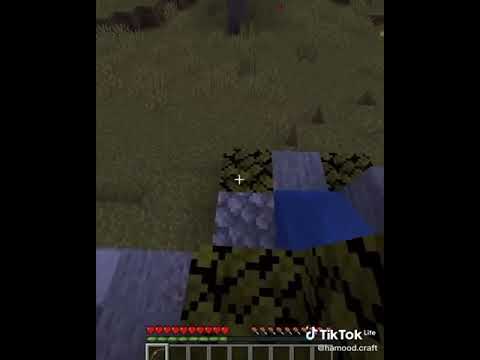 Minecraft Saving Hamood