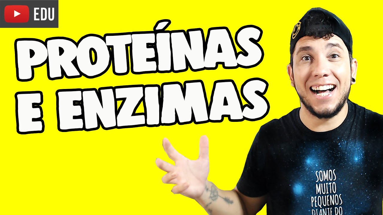 APRENDA A FUNÇÃO DAS PROTEÍNAS E ENZIMAS│ Prof. Patrick Gomes