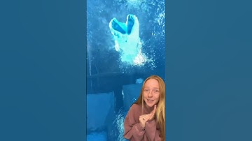 Bottom of the Pool #POV 👀🤯 #bravegang