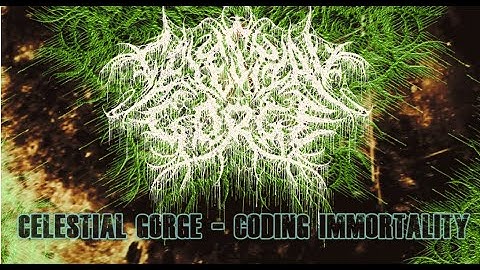 Celestial Gorge - Coding Immortality (Lyric Video)