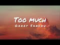Too Much Lyrics Garry Sandhu Latest Punjabi Songs 2021 mp3