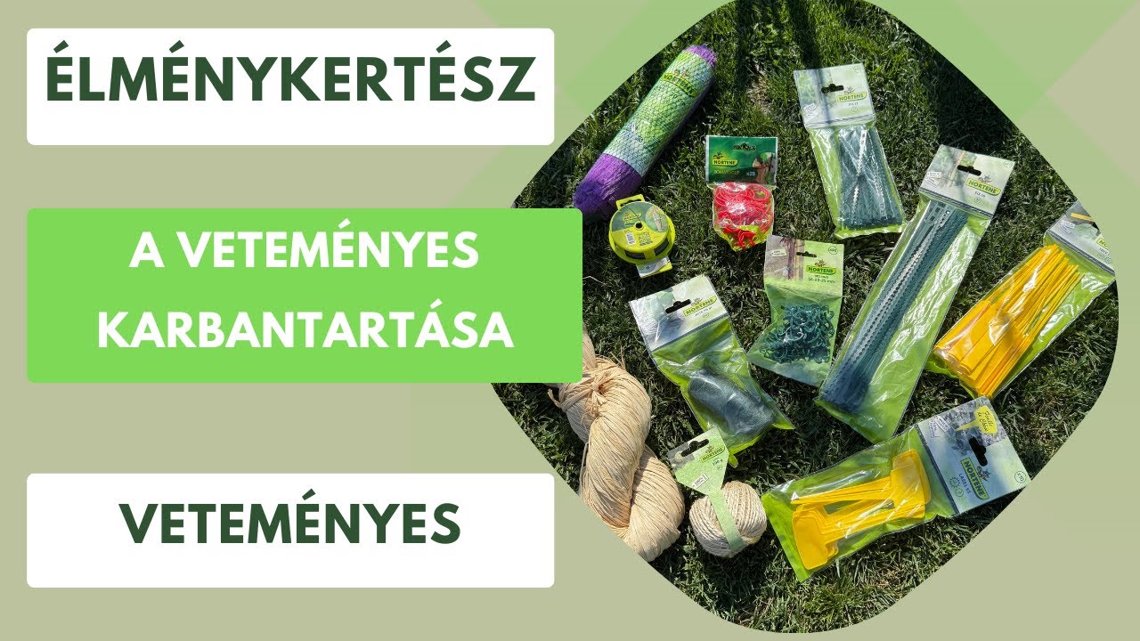 Hogyan tartom karban a veteményest?🍅🫑🥒