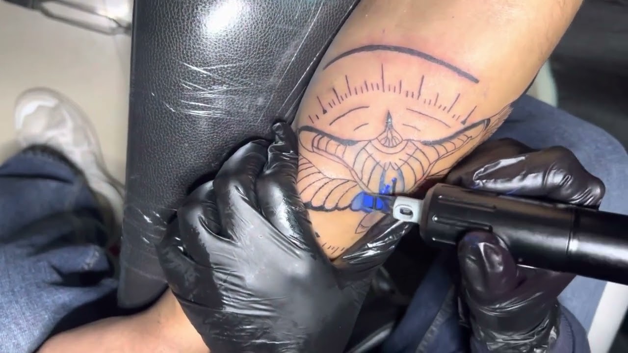 Albatross tattoo | arm tattoo | birds tattoo | 