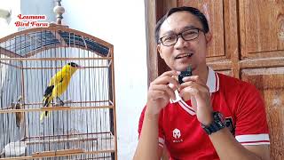 The Most Expensive Orion Purchasing Experience There Is A Price There Is A Quality 